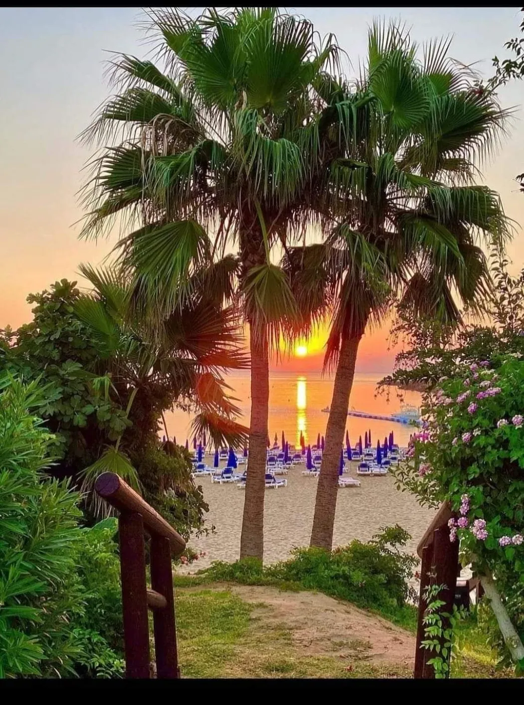 Sunset over the beach framed by palm trees — a short stroll from Palm Villa, Pernera Cyprus
